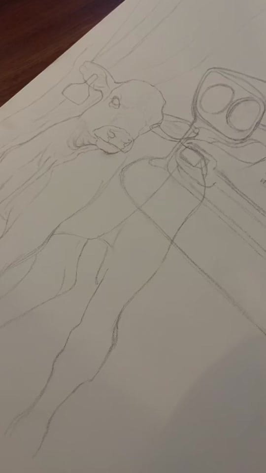 Post 1 by Keylee Cochrane on TikTok (video)