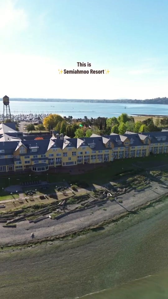 Post 8 by Lorena - Seattle Realtor ✨🏠 on TikTok (video)