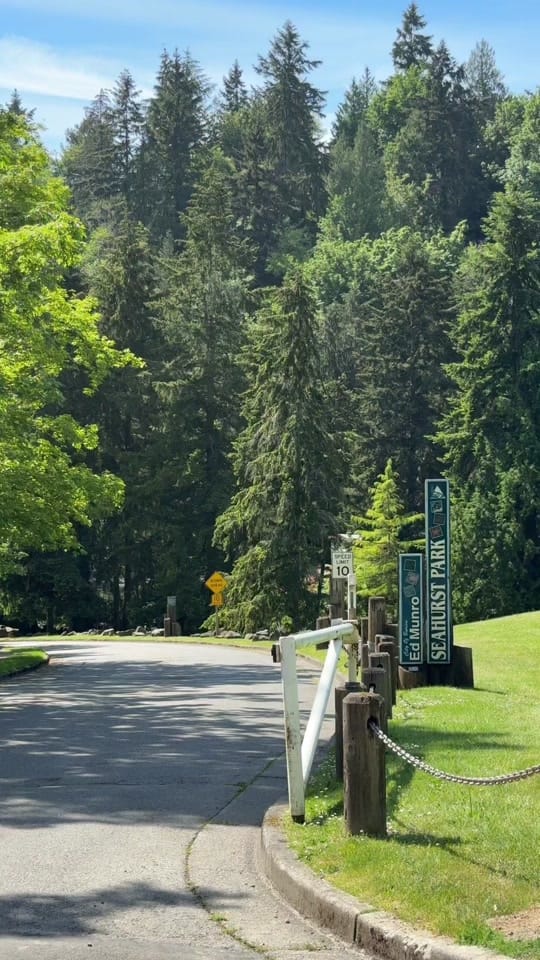 Post 7 by Lorena - Seattle Realtor ✨🏠 on TikTok (video)