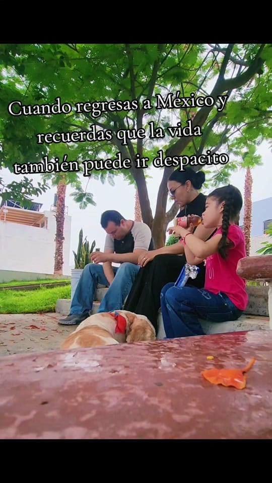 Post 6 by Yañez Sin Filtro on TikTok (video)