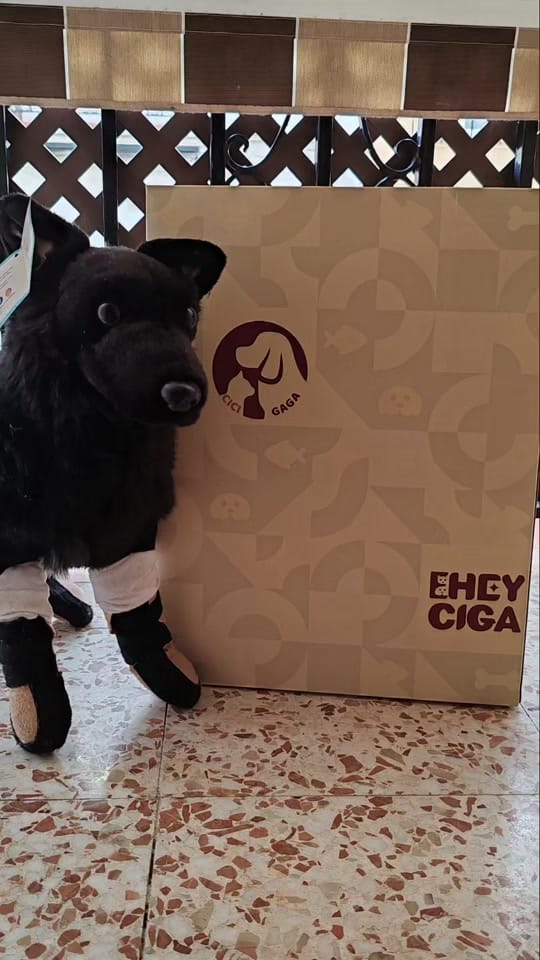 Post 6 by Anchoa El Perro con botas on TikTok (video)