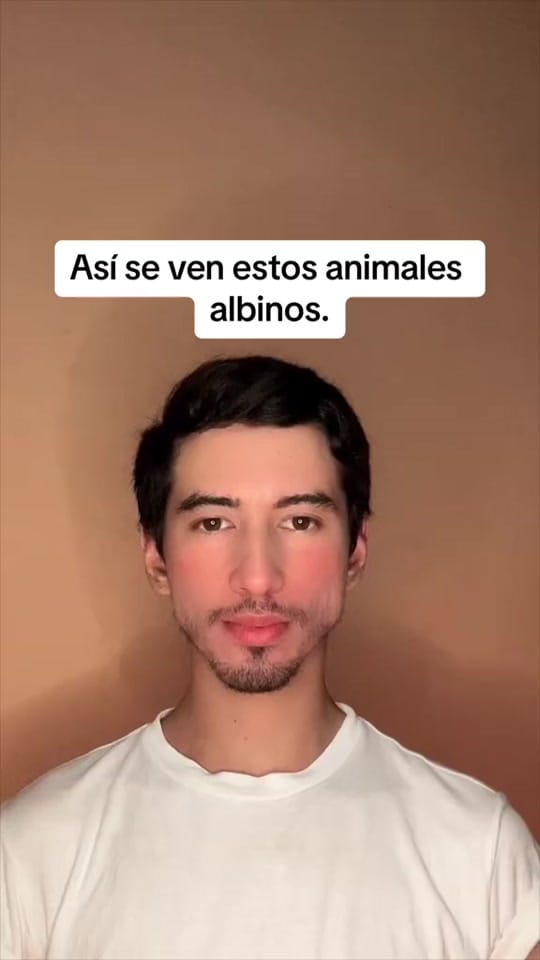 Post 7 by MartinFerreira98🇵🇾🇪🇸 on TikTok (video)