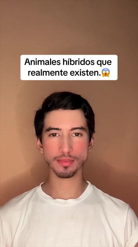 Post 9 by MartinFerreira98🇵🇾🇪🇸 on TikTok (video)