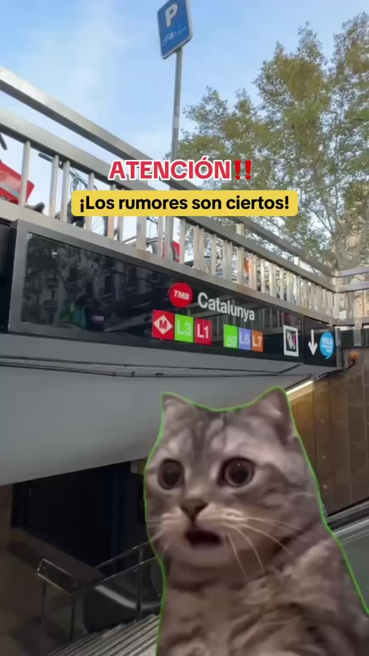 Post 10 by ELIXIRPERFUMES on TikTok (video)