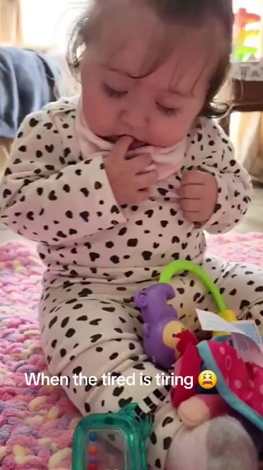 Post 7 by LifeInAus 🇦🇺🇿🇦 on TikTok (video)