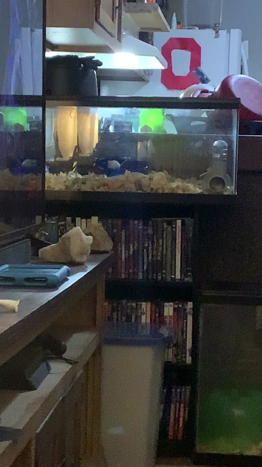 Post 5 by Chris on TikTok (video)