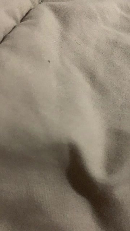 Post 10 by Chris on TikTok (video)