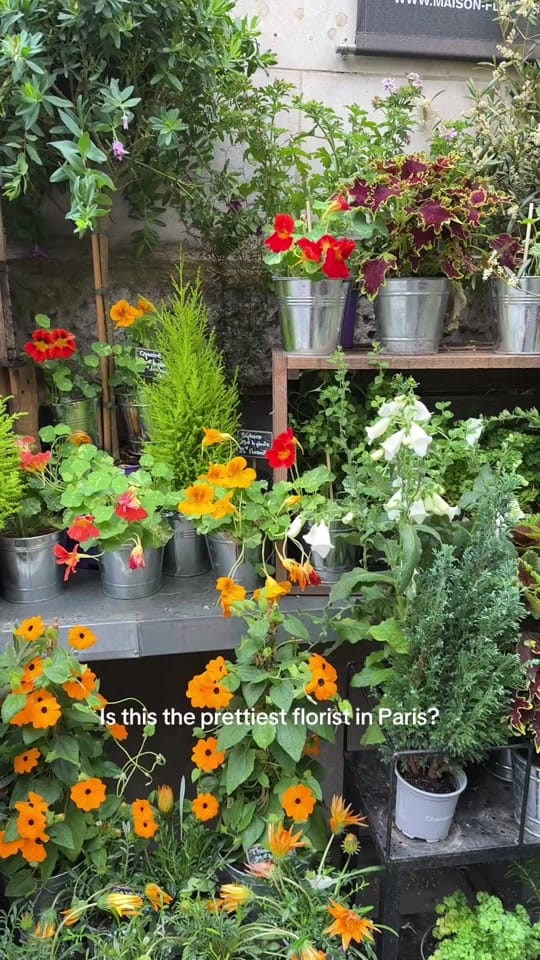 Post 9 by kellyleemccarren on TikTok (video)