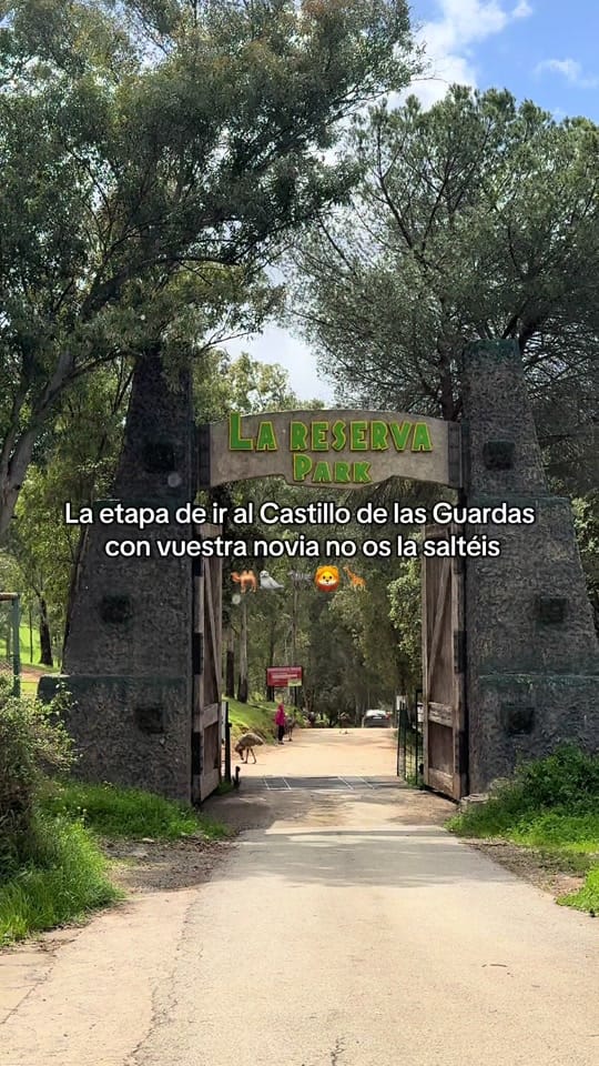 Post 8 by 🦁 Osuniiitaa 🦁 on TikTok (video)