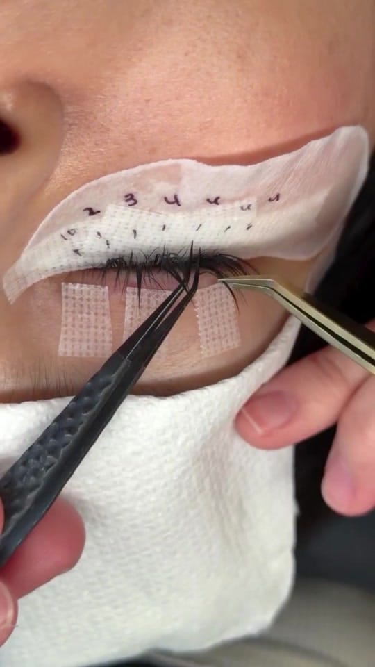 Post 5 by lashmer_wholesaler on TikTok (video)