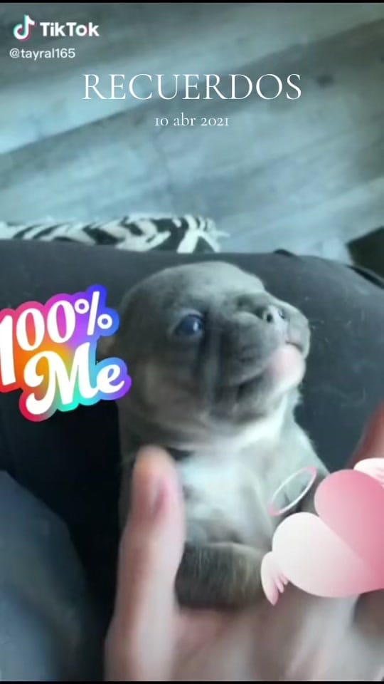 Post 4 by Rodríguez Rocio Adam on TikTok (video)