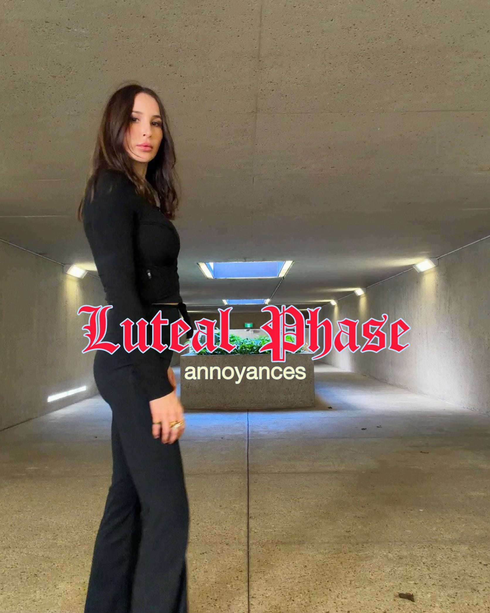 Post 2 by Meghan | The Plotline© on TikTok (video)