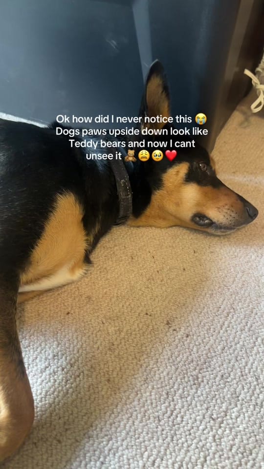 Post 7 by maddiewilcox_ on TikTok (video)