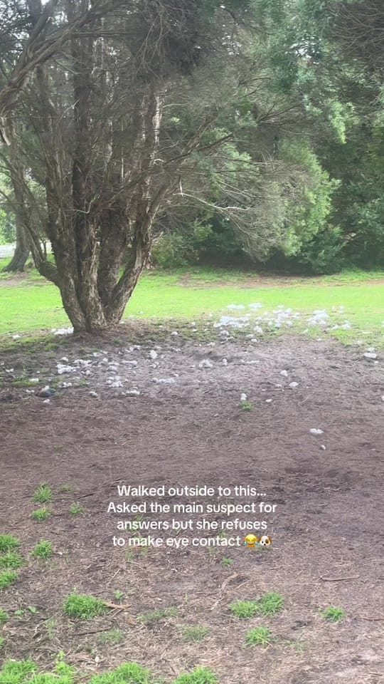 Post 4 by maddiewilcox_ on TikTok (video)