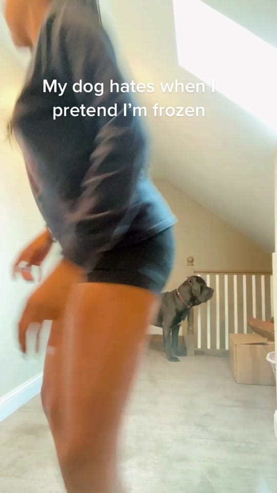 Post 10 by Jaleise_ on TikTok (video)
