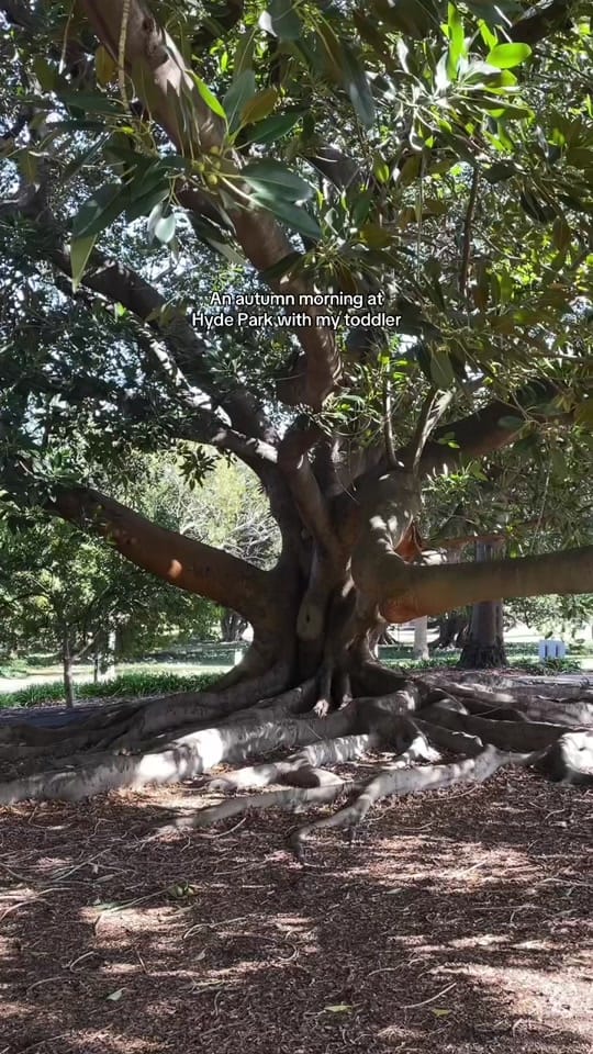 Post 3 by Jayshimi on TikTok (video)
