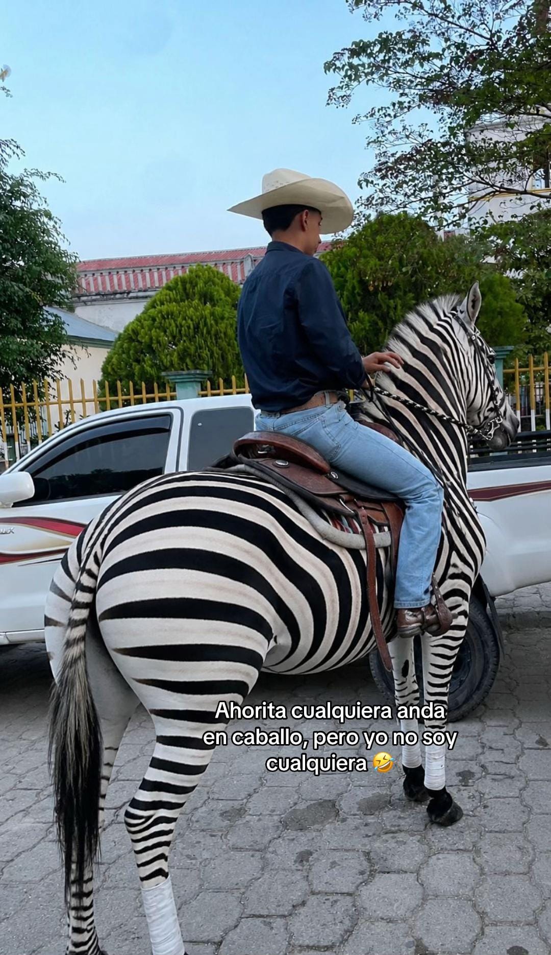 Post 6 by 𝐄𝐥𝐢𝐋𝐢𝐫𝐚𝐒𝐞𝐯𝐢𝐥𝐥𝐚🐆 on TikTok (video)