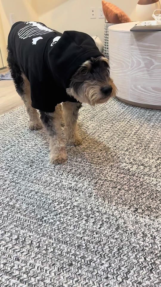 Post 2 by Cathy Marks on TikTok (video)