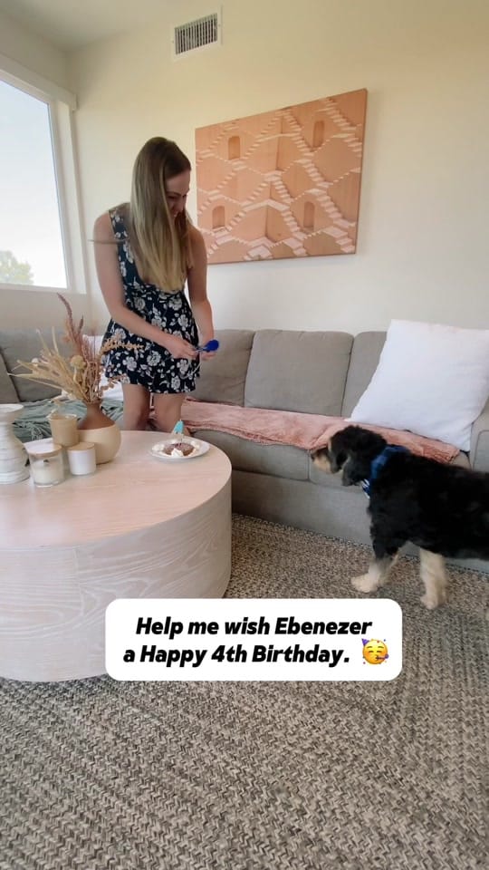 Post 4 by Cathy Marks on TikTok (video)