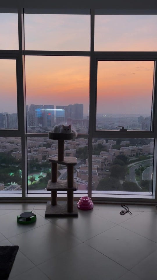 Post 4 by Katerina Pasat on TikTok (video)