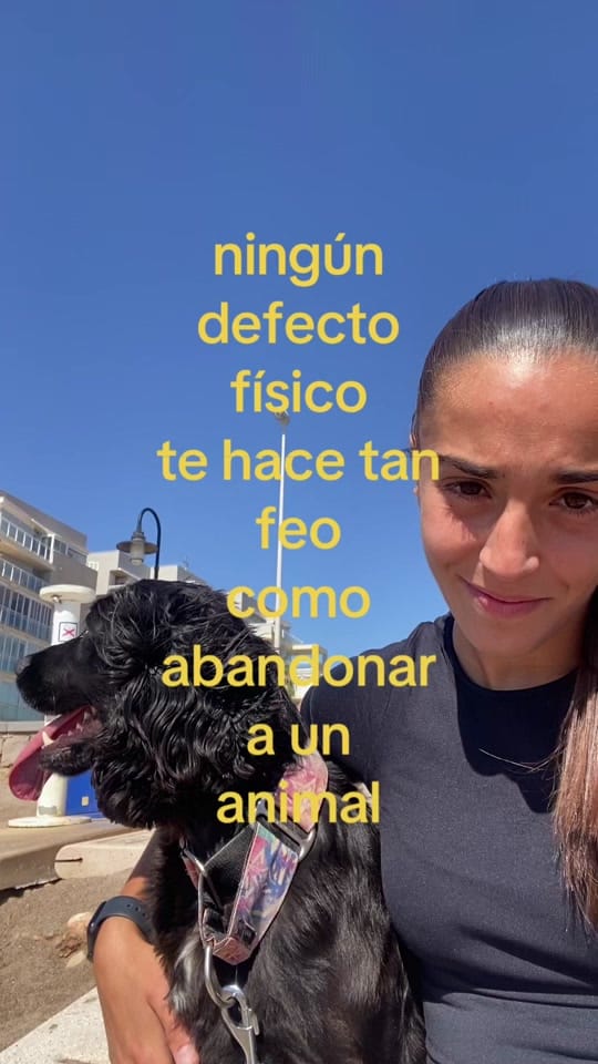 Post 3 by Laura Rodríguez on TikTok (video)