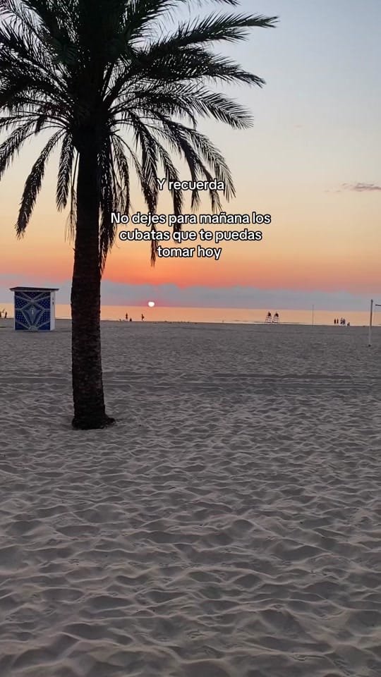 Post 5 by ❤️‍🩹 on TikTok (video)