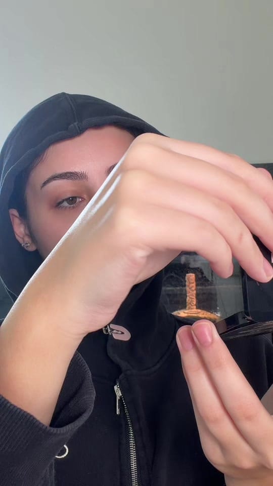 Post 6 by Jessica Maroun on TikTok (video)