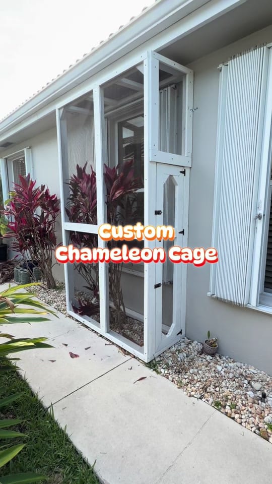Post 6 by Coops By Joe on TikTok (video)