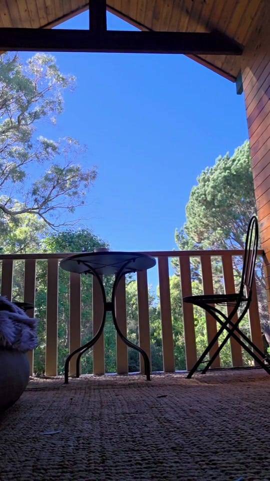 Post 2 by Courtney Leigh Holli on TikTok (video)