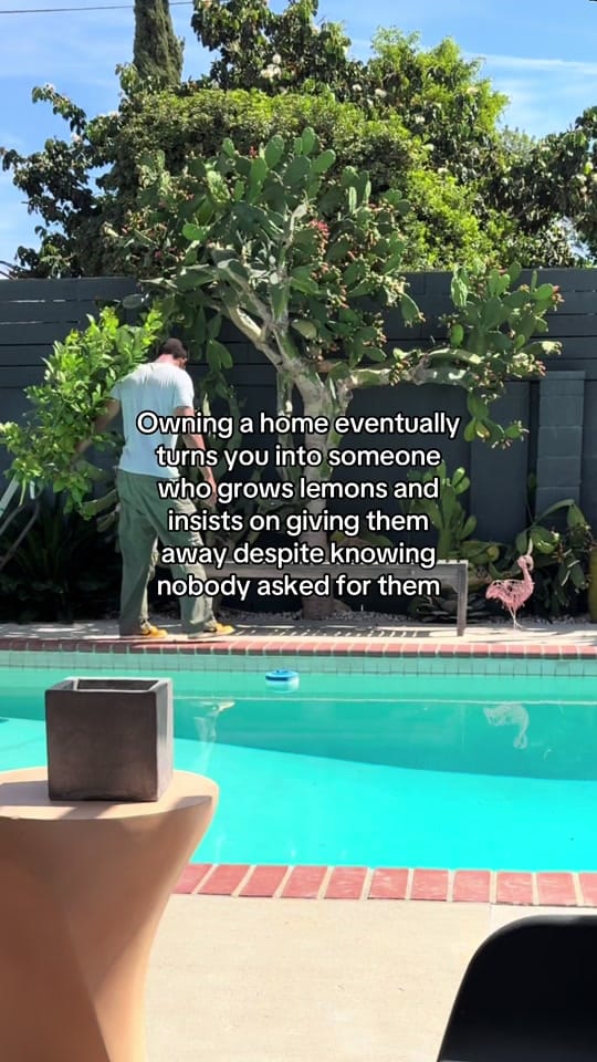 Post 5 by Angelo Magee Mortgage Pro on TikTok (video)