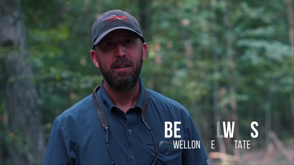 Post 9 by Wellons Land on TikTok (video)