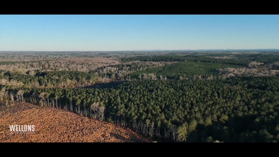 Post 4 by Wellons Land on TikTok (video)