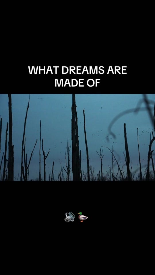 Post 1 by Wellons Land on TikTok (video)