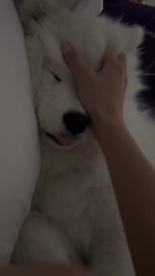 Post 4 by Brenda • WA Real Estate Agent on TikTok (video)