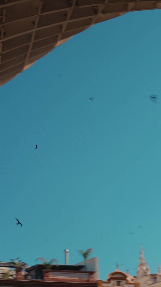 Post 3 by Setas de Sevilla on TikTok (video)