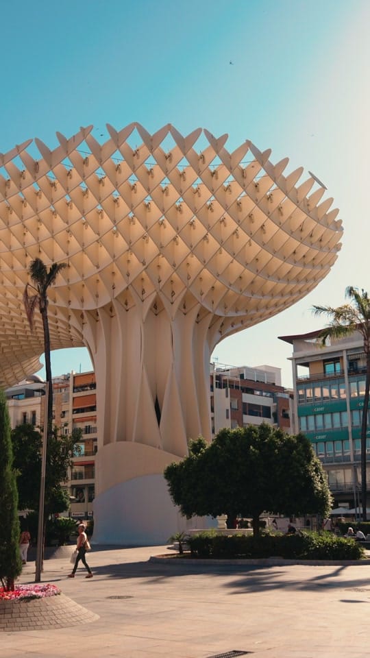 Post 2 by Setas de Sevilla on TikTok (video)