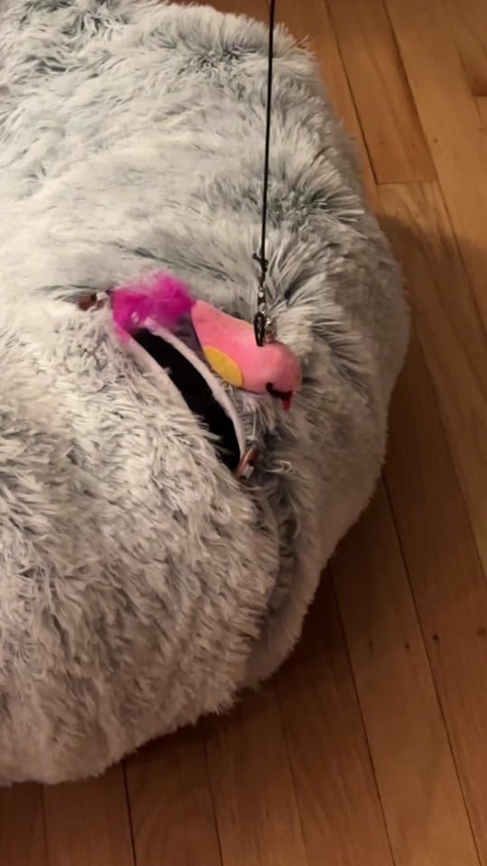 Post 6 by Jasmine Villa on TikTok (video)
