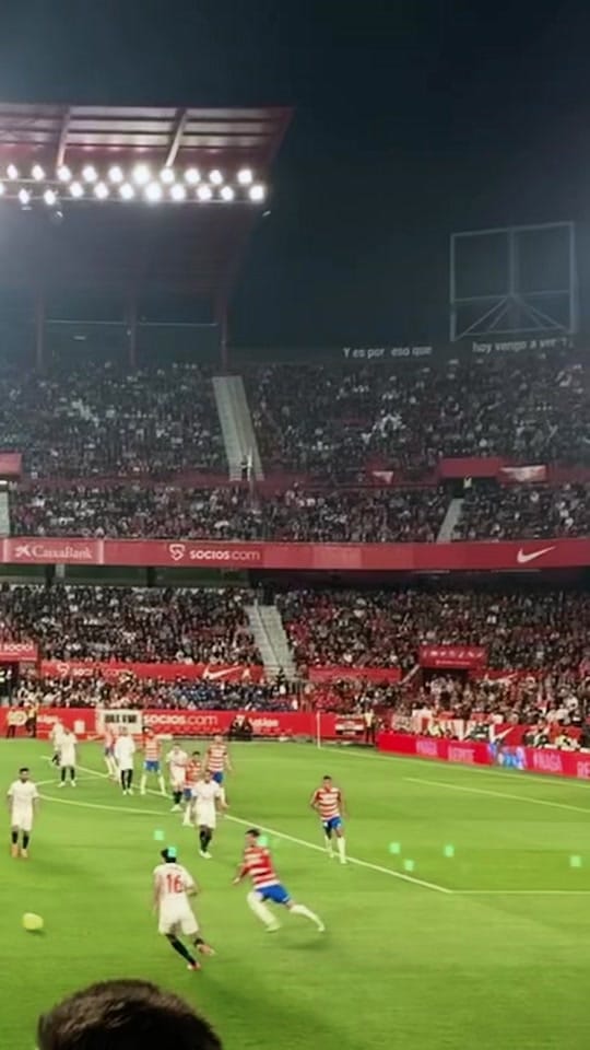 Post 1 by pepe on TikTok (video)