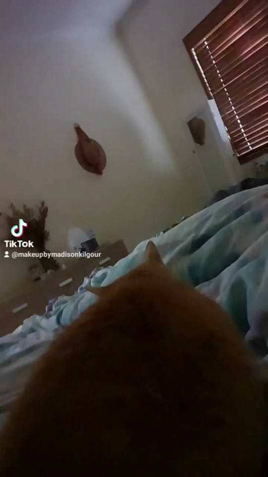 Post 2 by Mads on TikTok (video)