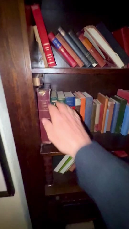 Post 5 by Adam Rikys on TikTok (video)