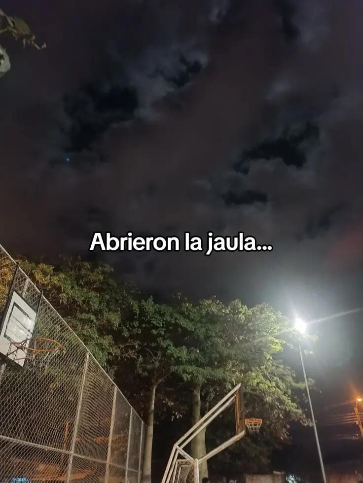 Post 9 by Dani Villarmea on TikTok (video)