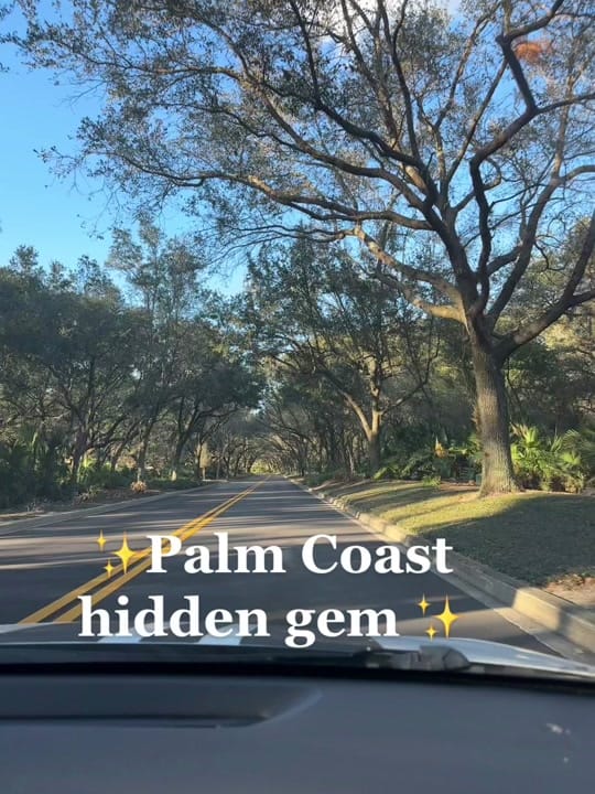 Post 9 by Celine Farge on TikTok (video)