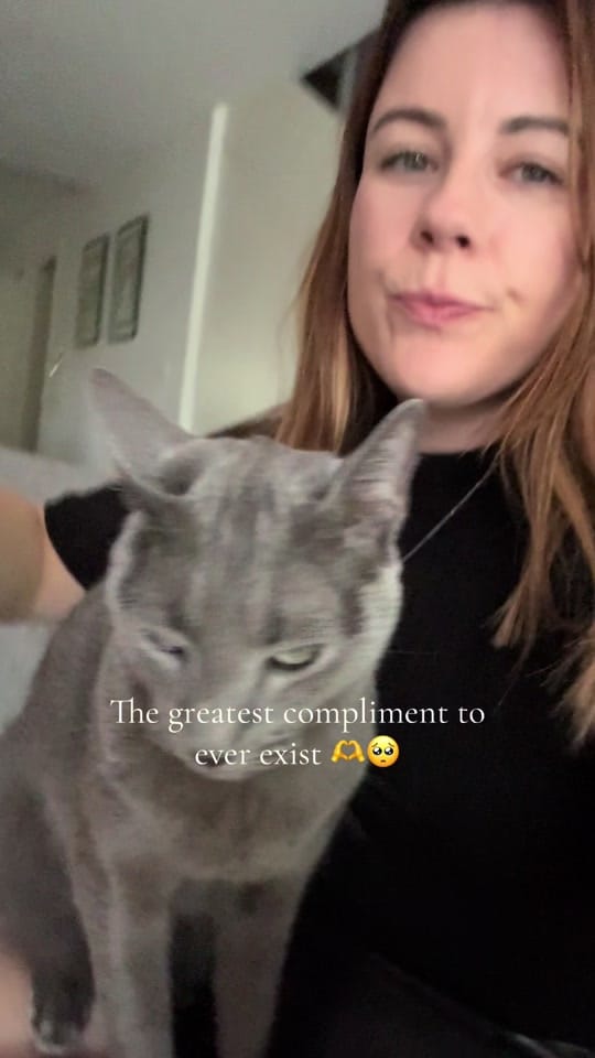 Post 7 by Rebekah Scanlan on TikTok (video)