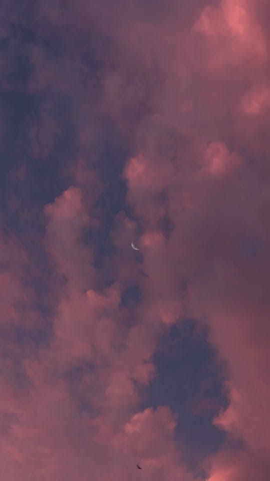 Post 5 by calsvisuals on TikTok (video)