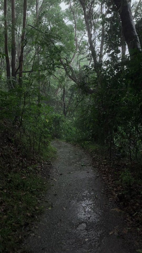Post 10 by calsvisuals on TikTok (video)