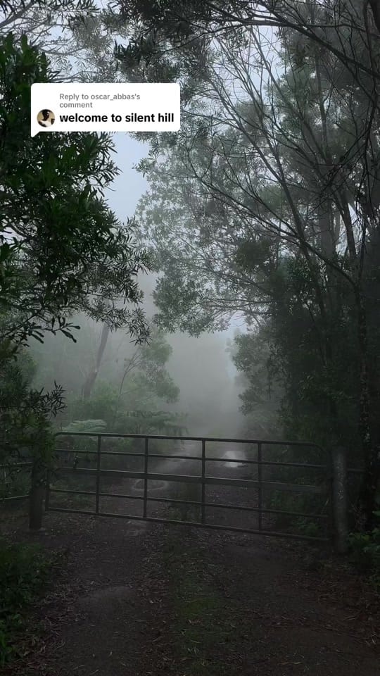 Post 7 by calsvisuals on TikTok (video)