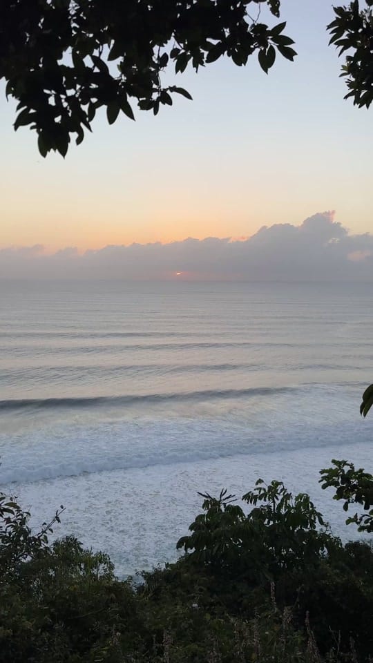 Post 8 by calsvisuals on TikTok (video)