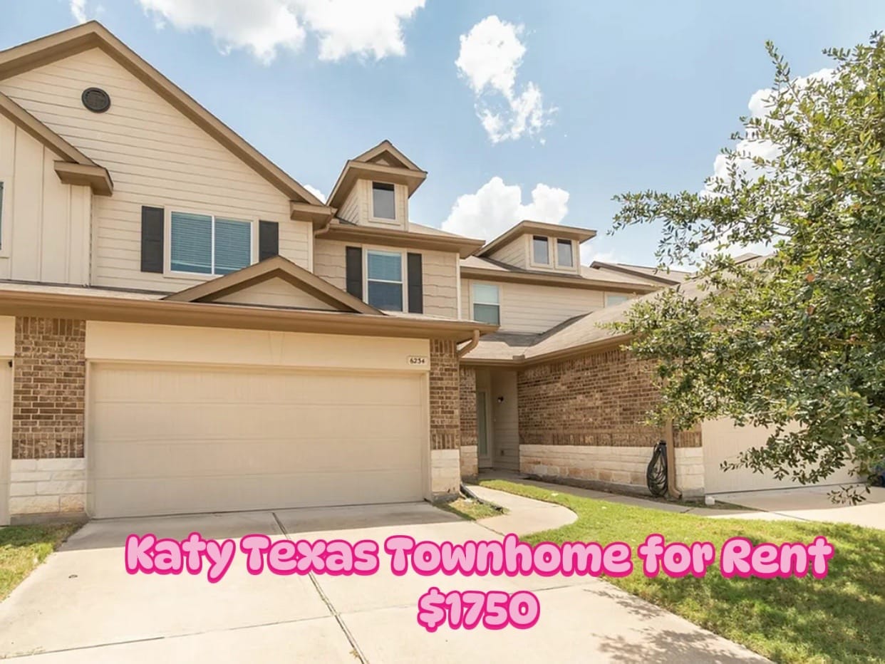 Post 3 by Lauren, HTX DTX Realtor on TikTok (video)