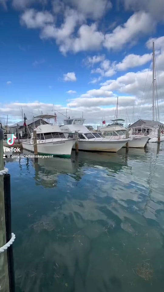 Post 5 by garymcadams_Realtor on TikTok (video)