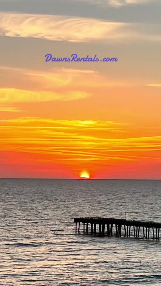 Post 10 by Beach Life on TikTok (video)